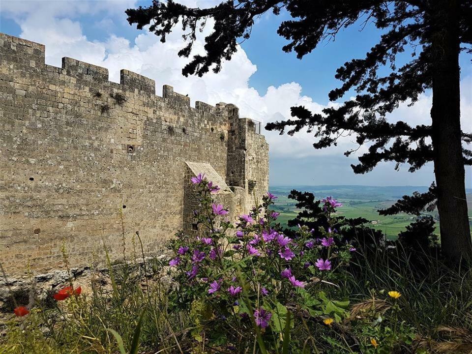 Casetta Di San Martino Тарквиния Экстерьер фото